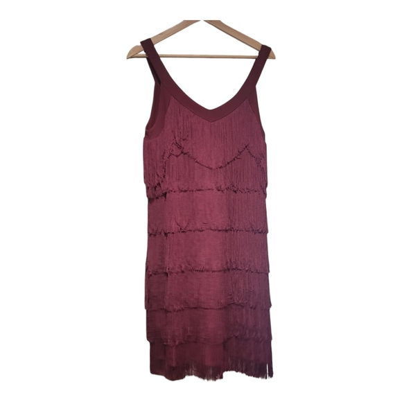 White House Dark Rouge Market  Flapper Fringe Cocktail Dress Size Small - Picture 2 of 6